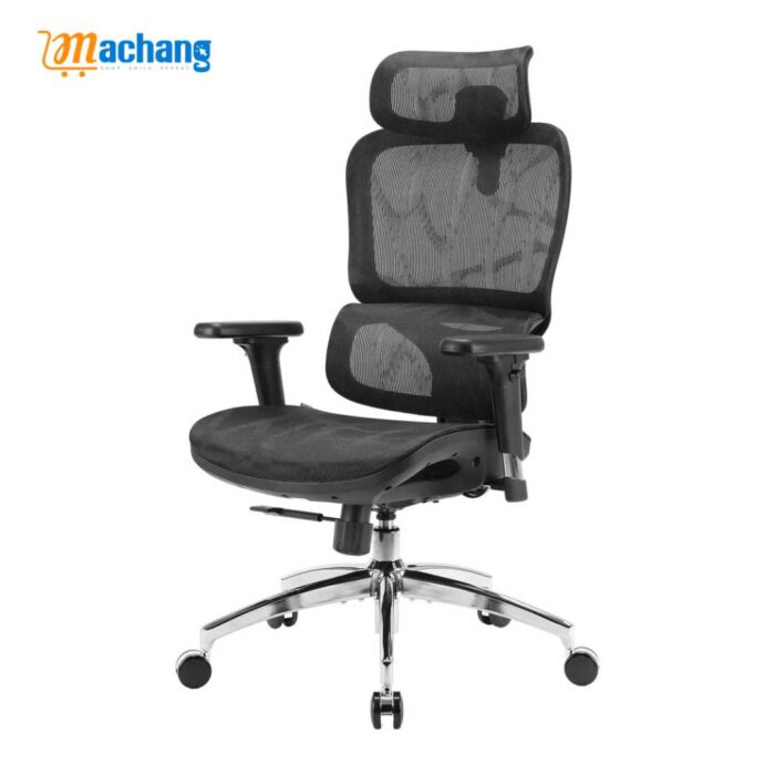 Sihoo M56B Dual-Back Ergonomic Office Chair for Better Posture - Image 1