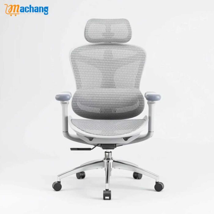 Sihoo C300 Advanced Ergonomic Office Chair with Advanced Back Support - Image 3
