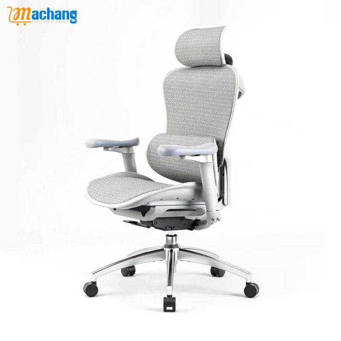 Sihoo C300 Advanced Ergonomic Office Chair with Advanced Back Support - Image 4