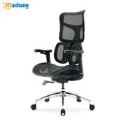 Sihoo S100 Dynamic Ergonomic Office Chair with Lumbar Support - Image 2