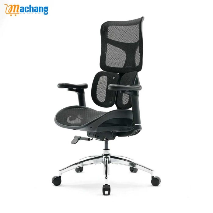 Sihoo S100 Dynamic Ergonomic Office Chair with Lumbar Support - Image 2