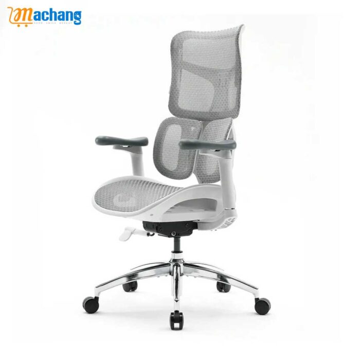 Sihoo S100 Dynamic Ergonomic Office Chair with Lumbar Support - Image 1