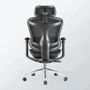 Sihoo C300 Advanced Ergonomic Office Chair with Advanced Back Support - Image 7
