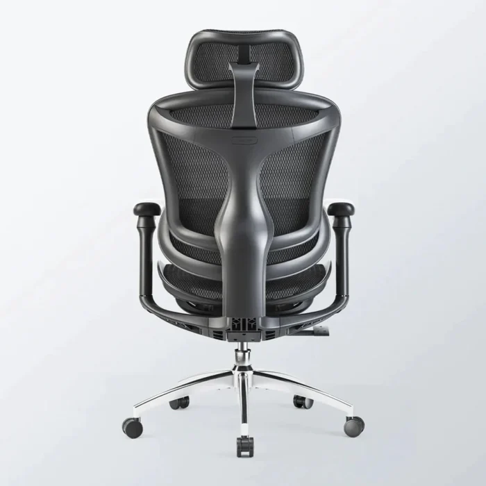Sihoo C300 Advanced Ergonomic Office Chair with Advanced Back Support - Image 7