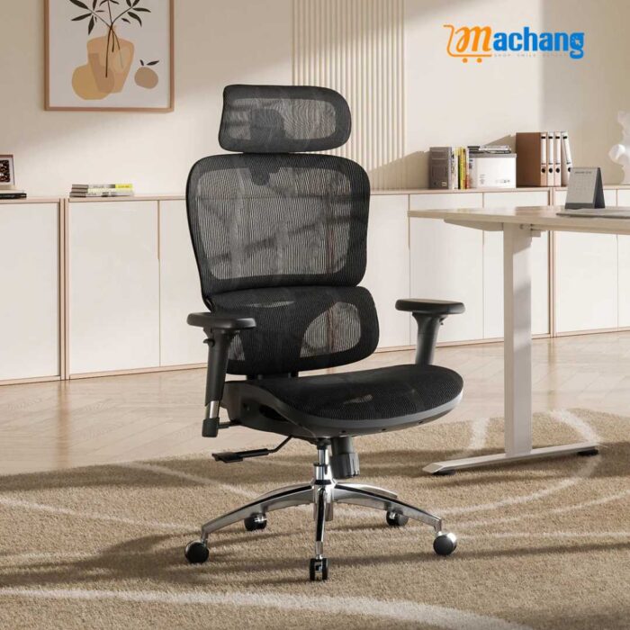 Sihoo M56B Dual-Back Ergonomic Office Chair for Better Posture - Image 4