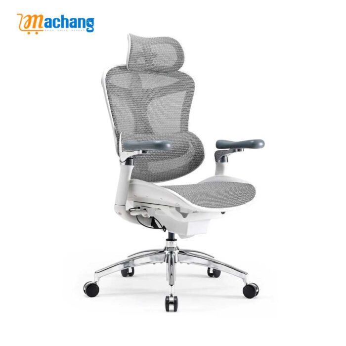 Sihoo C300 Pro Ergonomic Office Chair with Seat Depth for Long Sitting - Image 2