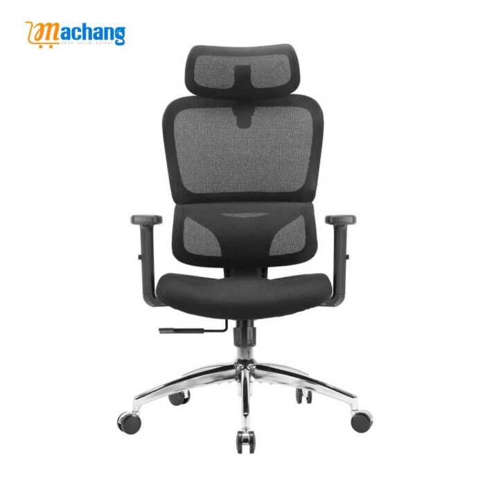 Sihoo M56C Dual-Back Ergonomic Office Chair with Soft Cushion - Image 1
