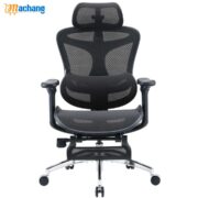 Sihoo C300 Advanced Ergonomic Office Chair with Advanced Back Support