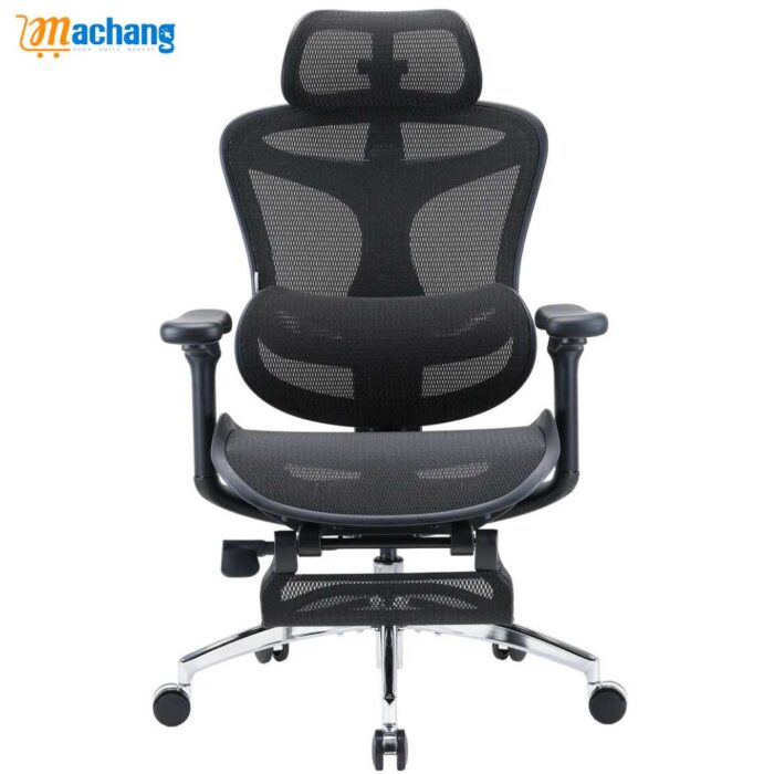 Sihoo C300 Advanced Ergonomic Office Chair with Advanced Back Support - Image 1